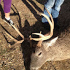 Meet your Posher, Kelsey